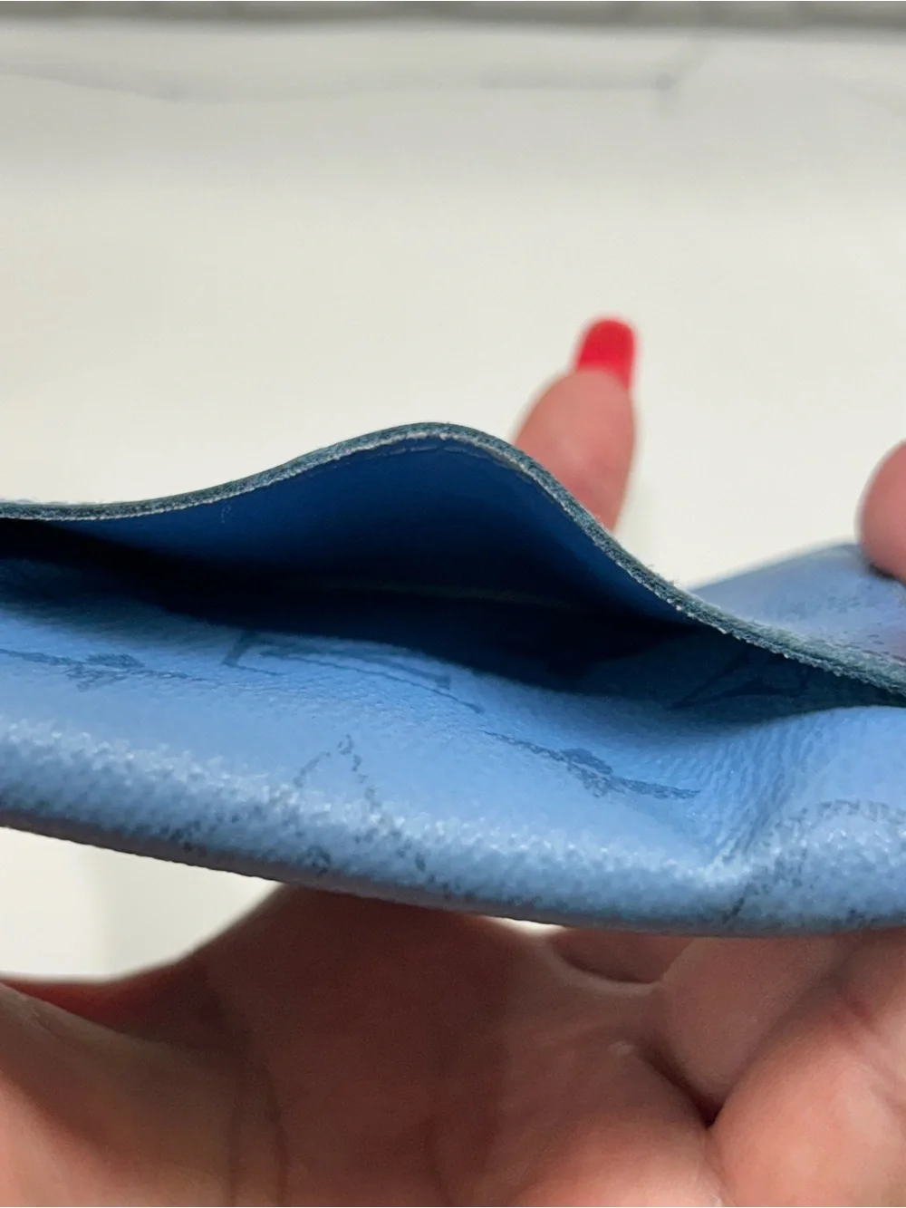 Louis Vuitton Blue pocket organizer